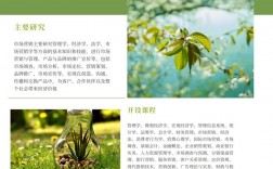 市場(chǎng)營(yíng)銷屬于經(jīng)濟(jì)類還是管理類