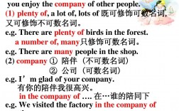 plentyof修飾可數還是不可數
