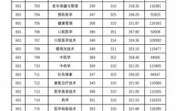 2024年泰安衛校3十2分數線