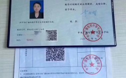 哪里可以辦理真的中專證