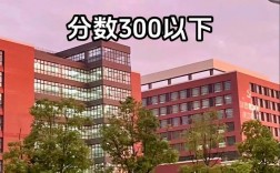 300分左右能上啥學校(高考不到300分能上什么)