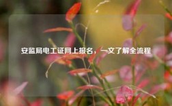安監局電工證網上報名，一文了解全流程