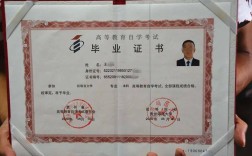 本科畢業可以考的證書(本科學歷再考一個本科)