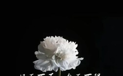長(zhǎng)眠不起是什么意思_近義詞_來源