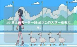 2024湖北高考一分一段(武漢公辦大學(xué)一覽表大學(xué))
