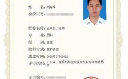 正高級工程師是什么級別