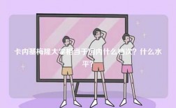 卡內基梅隆大學相當于國內什么檔次？什么水平？
