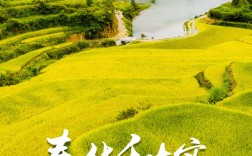 春華秋實的意思