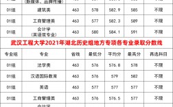 2024年武漢工程學院專科分數線