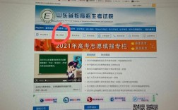 山東省考試中心官網www.sdzk.cn