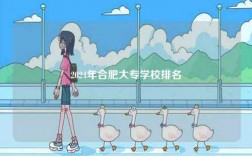 2024年合肥大專學校排名