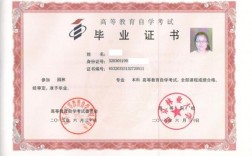 廣東專接本(2024年廣東專升本學校)