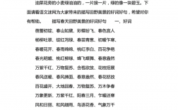 什么樣的田野填合適的詞