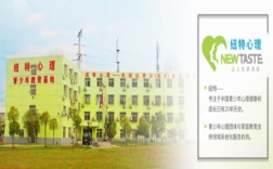 武漢紐特青少年心理素質輔導課程致力于協助解決青少年的網癮