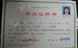 成教本科文憑有用嗎