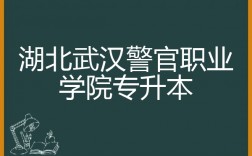 武漢警官職業(yè)學(xué)院專升本簡介