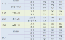 天津外國(guó)語(yǔ)大學(xué)錄取分?jǐn)?shù)線