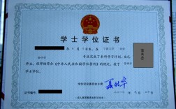 本科是什么學位