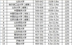 山東本科線(山東上二本最低多少分)