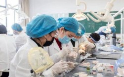 生物醫學工程很難就業