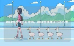 項目管理證書好考嗎，項目管理師證書怎么考