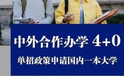 中外合作辦學3 1有哪些學校(中外合作辦學一覽表最新)