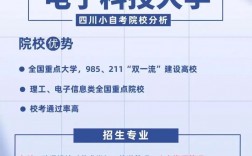 四川電子科技大學是985還是211