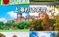 上海杉達學院教務處登錄入口（附網址+流程）