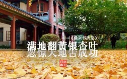 南京師范大學(xué)隨園校區(qū)地址是什么？如何查詢？
