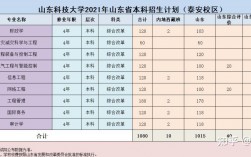 山東科技大學泰安校區(qū)有哪些專業(yè)