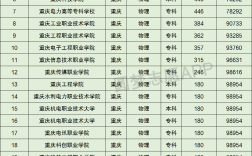 2024年重慶理工大學排名全國第幾位