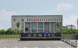 2025年成考專升本合肥城市學院財務管理專業政策解析：報名條件與流程全攻略