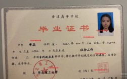 學歷大專女孩適合考什么證(大專證查詢)