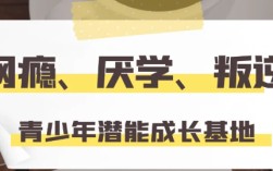 湖北武漢紐特心理叛逆學校,30天可見孩子改變,上門接送！