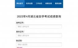 自考的怎么查