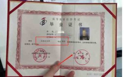 本科可以考什么證(已有本科學歷想再考第二學歷)