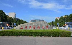 山東中醫藥大學怎么樣(中醫最容易移民的國家)
