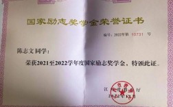 拿國家勵志獎學金的人優秀嗎(勵志獎學金算榮譽嗎)