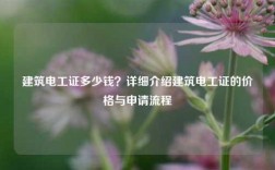 建筑電工證多少錢？詳細(xì)介紹建筑電工證的價格與申請流程