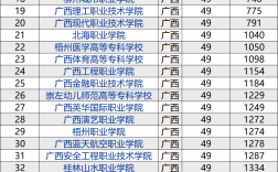 2024年廣西高職高專學校排名
