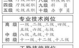 副教授是什么級別待遇