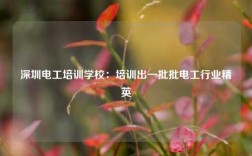 深圳電工培訓學校：培訓出一批批電工行業(yè)精英