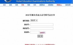 高考準(zhǔn)考證怎么查