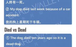 died和dead的區(qū)別