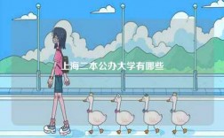 上海二本公辦大學(xué)有哪些