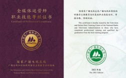 全媒體運營師英文(運營師是干嘛的)