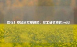 震驚！安監局發布通知：焊工證收費達300元！