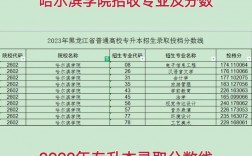 哈爾濱學院錄取分數線(哈爾濱學院多少分能考上)