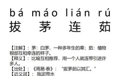 拔茅連茹是什么意思_近義詞_來源