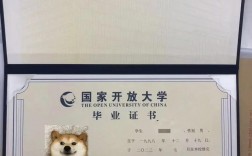 電大和函授有什么區(qū)別(電大與函授哪個更好一些)